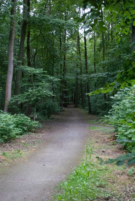DSC_0016.jpg