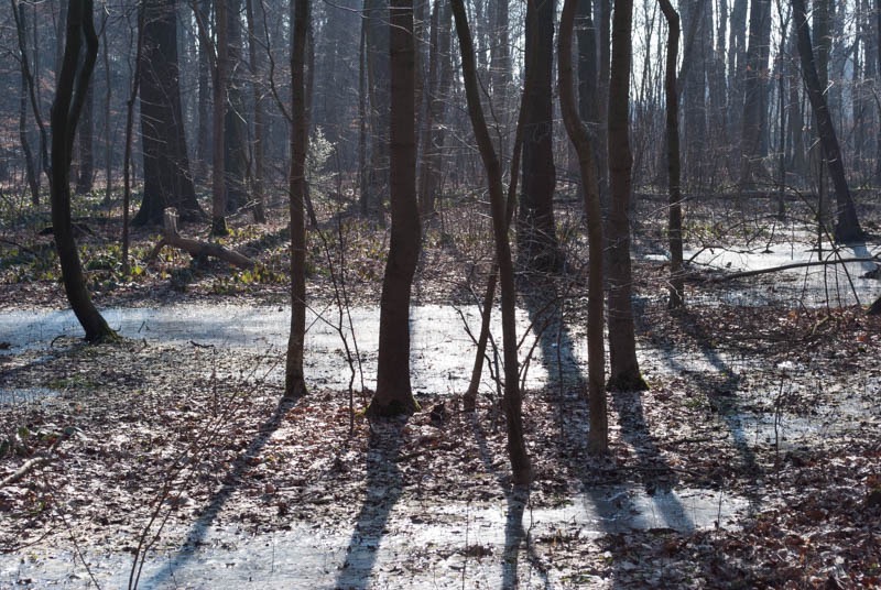 DSC_1391.jpg