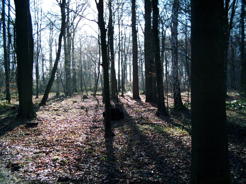 DSCI0009.JPG