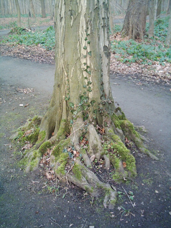 DSCI0032.JPG