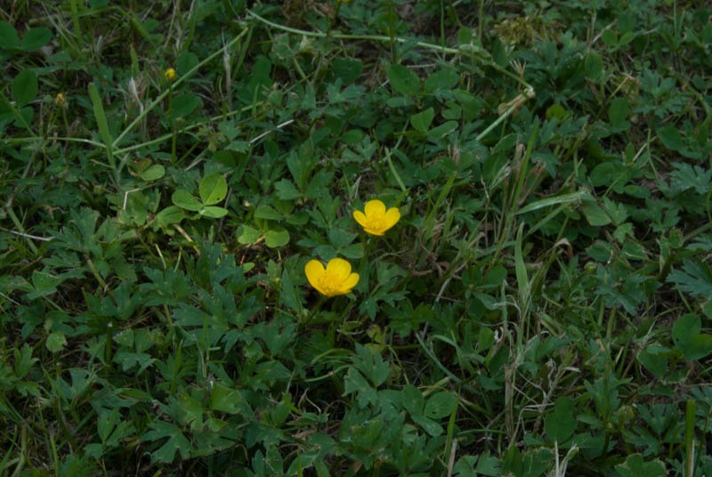 DSC_0048.jpg
