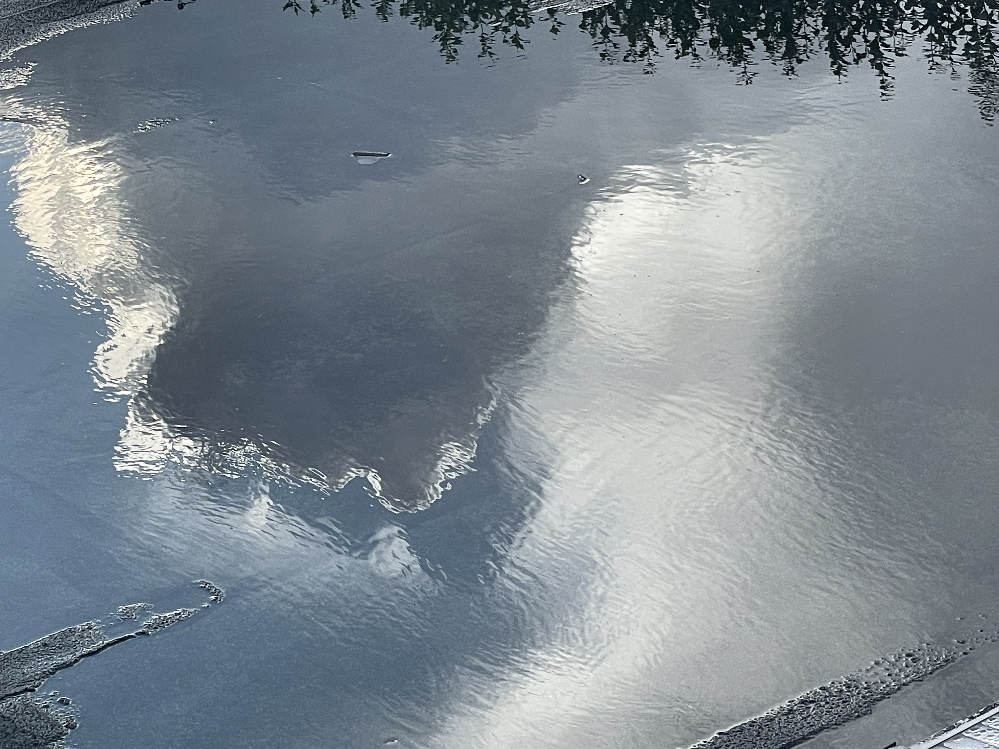 25-08-05 A